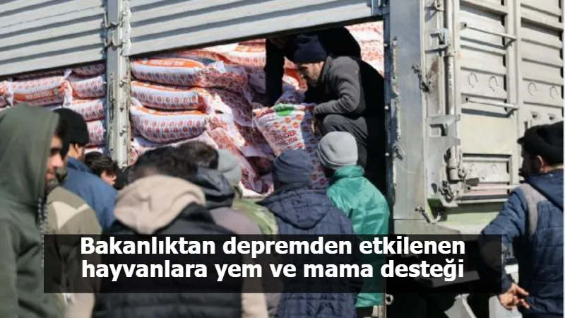 Bakanlıktan depremden etkilenen hayvanlara yem ve mama desteği