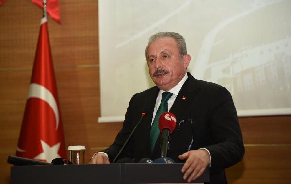 TBMM Başkanı Şentop: Türkiye'yi dünyada etkin bir ülke haline getirmemiz gerekiyor 