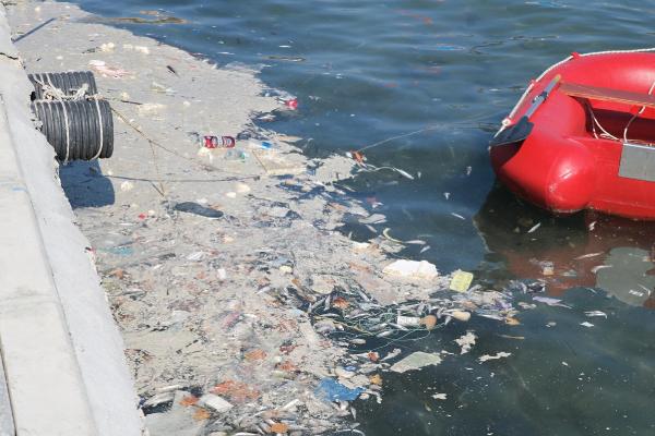 Foça'da denizde kirlilik tedirginliği