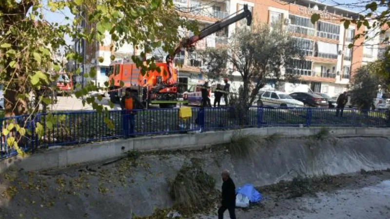 Zeytin toplamak için çıktığı ağaçtan düşüp, öldü