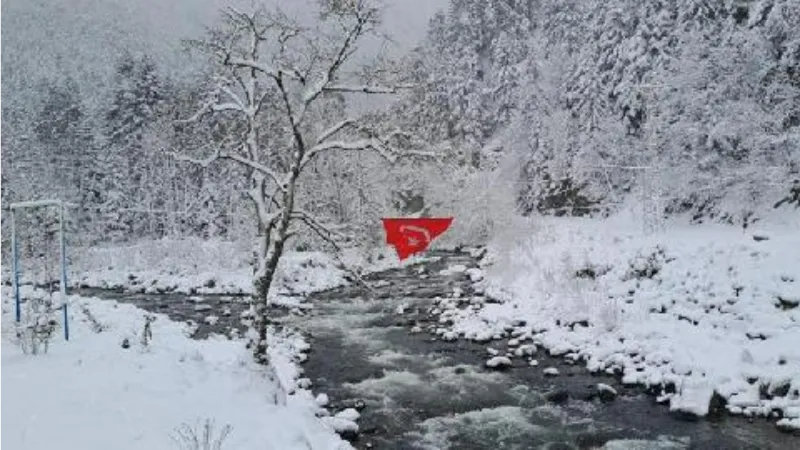 Bayburt ve Rize'de kar yağışı etkili oldu