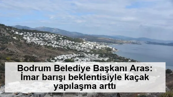 Bodrum Belediye Başkanı Aras: İmar barışı beklentisiyle kaçak yapılaşma arttı