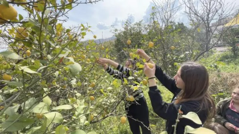 Küçükçekmece Belediyesi, Hatay'daki yerel üreticilerin ürünlerini satın alıyor 