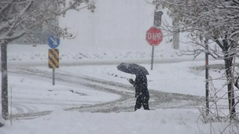 Bitlis’te kardan kapanan 234 yerleşim yeri yolu açıldı