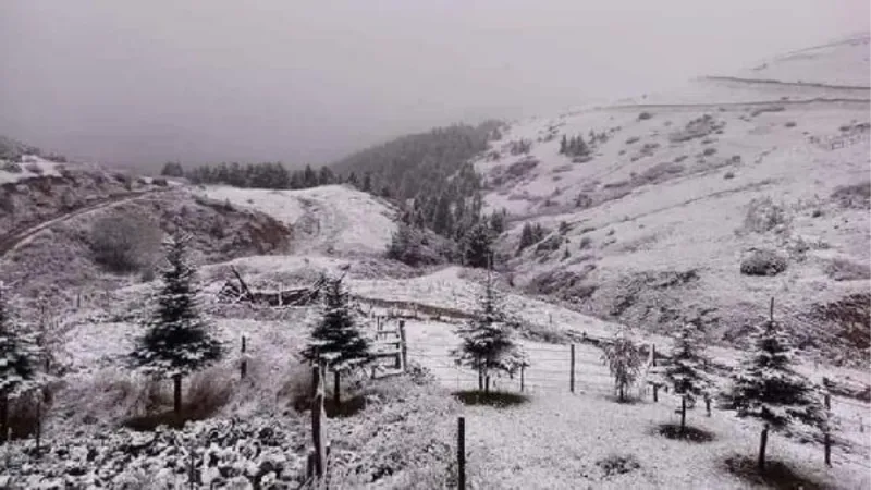 Ordu'nun yükseklerine kar yağdı