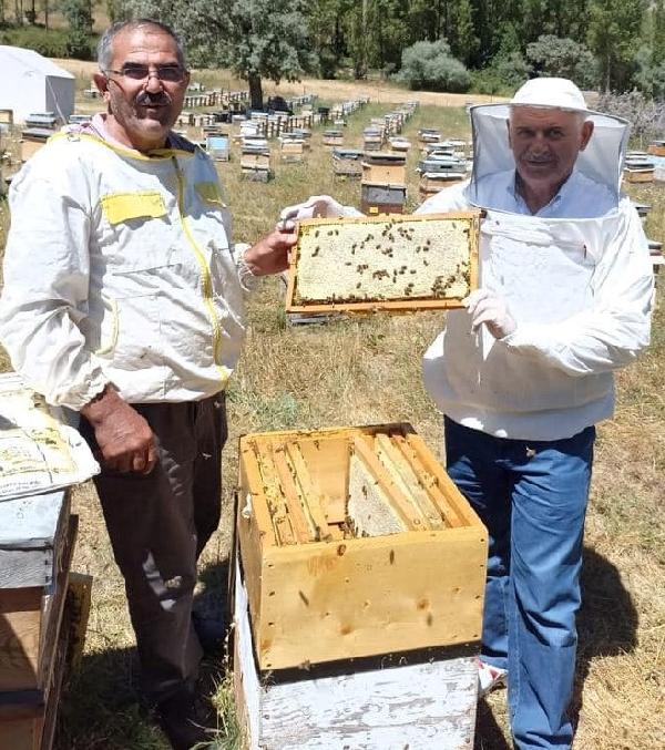 Binali Yıldırım, baba ocağı Erzincan'da bal hasadı yaptı