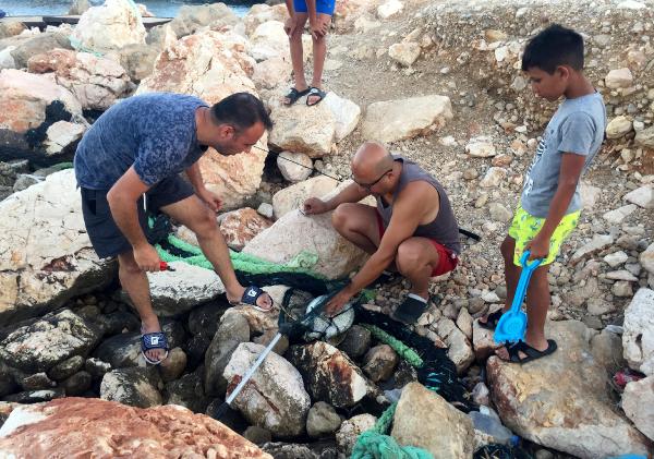 Oltaya caretta caretta yavrusu takıldı