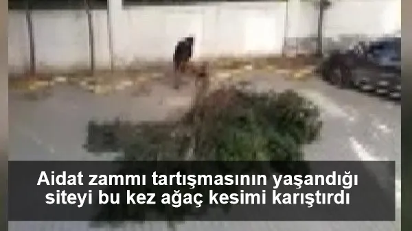 Aidat zammı tartışmasının yaşandığı siteyi bu kez ağaç kesimi karıştırdı