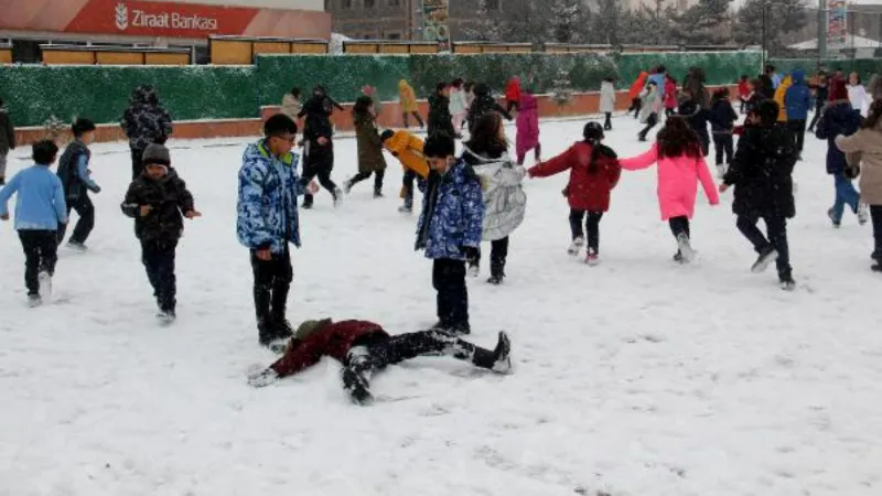 Kars ve Ardahan beyaza büründü