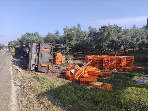 Bursa'da TIR devrildi; yüzlerce tavuk öldü