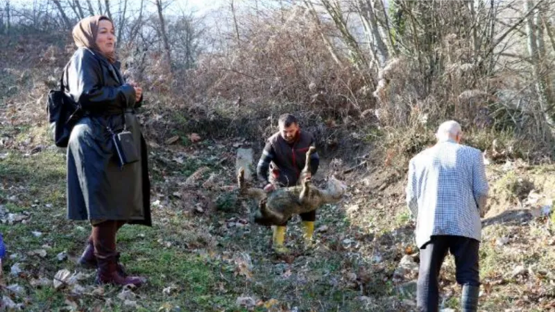 Rüyasında 'mezar' gördüğü arazide, izin alıp kazı çalışması başlattı