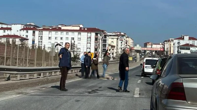 Yolun karşısına geçerken otomobilin çarptığı kadın öldü