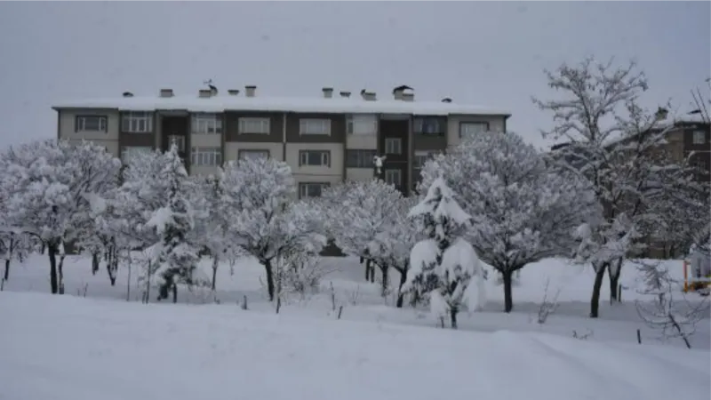 Bitlis'te kar kalınlığı 50 santimetreyi geçti; araçlar görünmez oldu