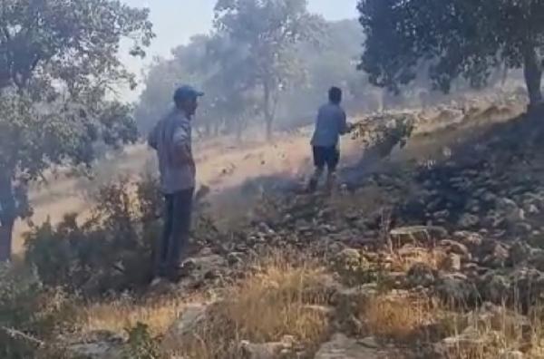 Nusaybin’de ormanlık alandaki yangın 6 saatte söndürüldü