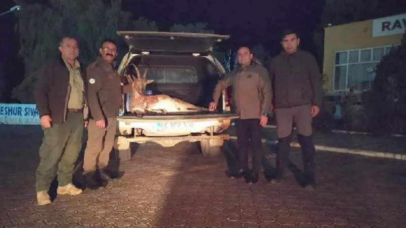 Sivas'ta yaban keçisi avına 256 bin TL ceza