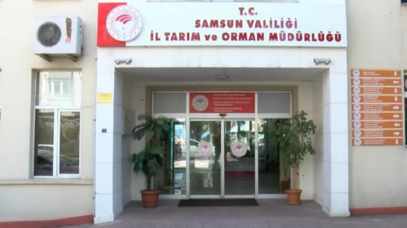 Samsun'da şap hastalığı tedbiri: Tüm hayvan pazarları kapatıldı