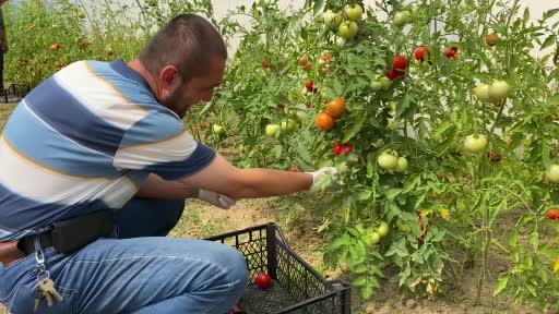 Rehabilitasyon merkezi engelli bireyleri hayata tutunduruyor