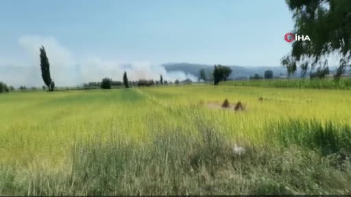Muğla’da tarım arazinde yangın