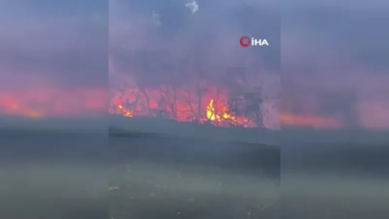 Beykoz’da orman yangını kısa sürede söndürüldü