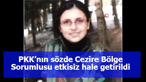 PKK’nın sözde Cezire Bölge Sorumlusu etkisiz hale getirildi