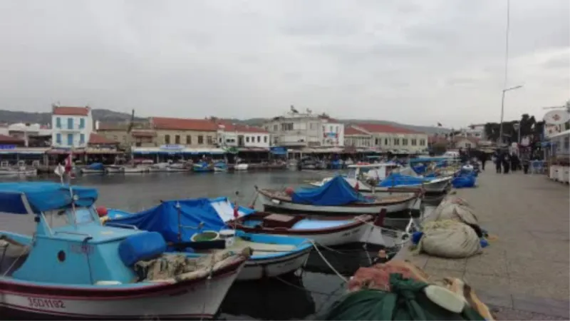 Foça tezgahlarında levrek bolluğu