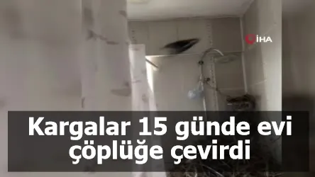 Tatilden dönen vatandaş gördüğü manzara karşısında şaşkına döndü: Kargalar 15 günde evi çöplüğe çevirdi