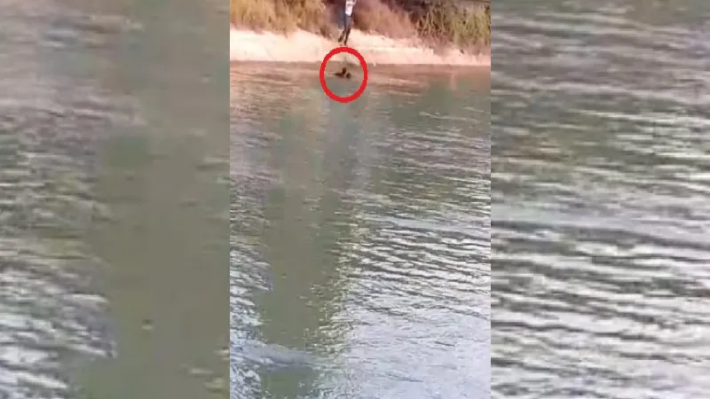 Sulama kanalına düşen kadının kurtarılma anı kamerada  
