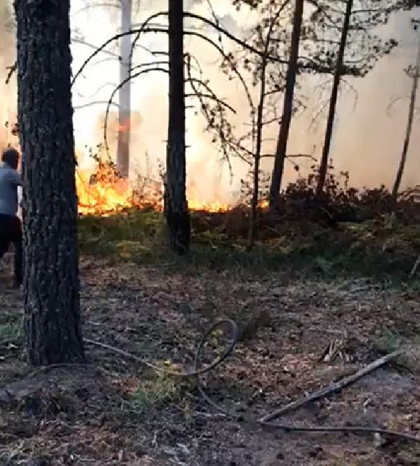 Tokat'ta dün söndürülen ormanda yeniden yangın çıktı