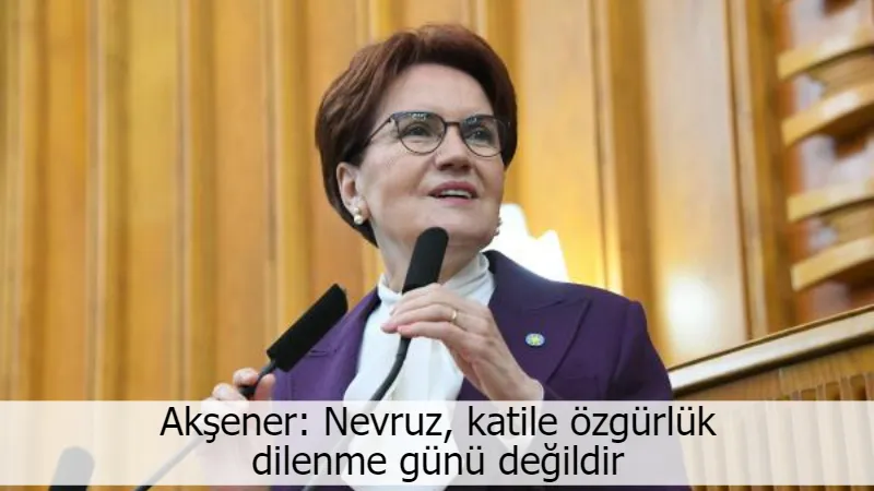 Akşener: Nevruz, katile özgürlük dilenme günü değildir