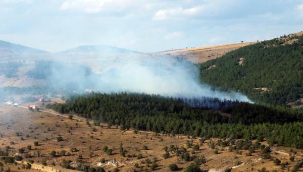 Yozgat'ta çıkan orman yangını kontrol altına alındı
