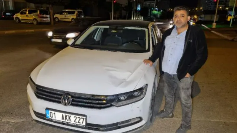 Başıboş at, bulvarda otomobile çarptı