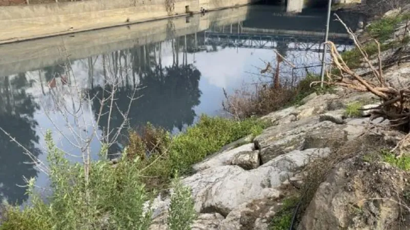 İstanbul'un iki yakasındaki iki derede kirlilik alarmı 