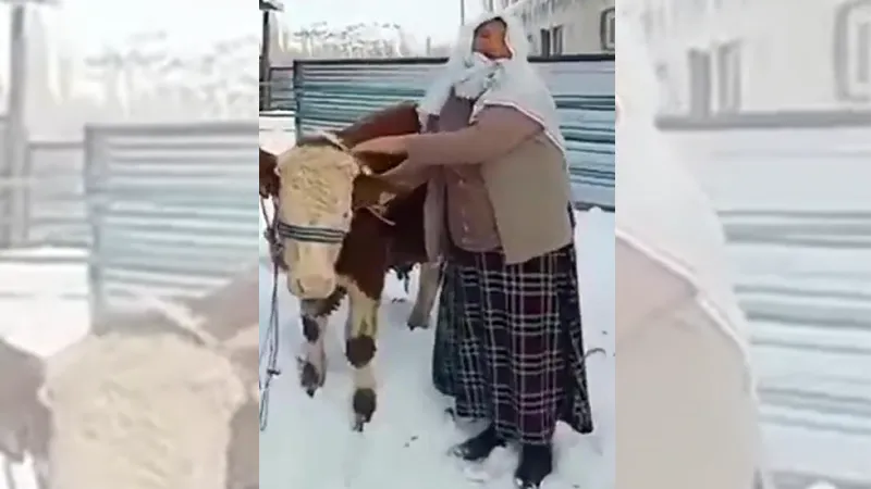 1983 Erzurum depremini yaşadı, boğasını satıp depremzedeler için bağışladı