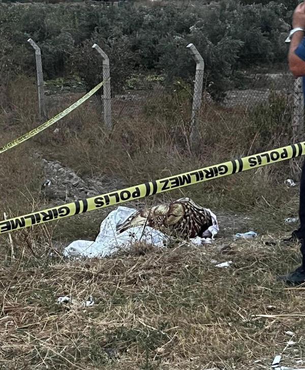 Denizli'de korkunç cinayet! Yol kenarında bulundu