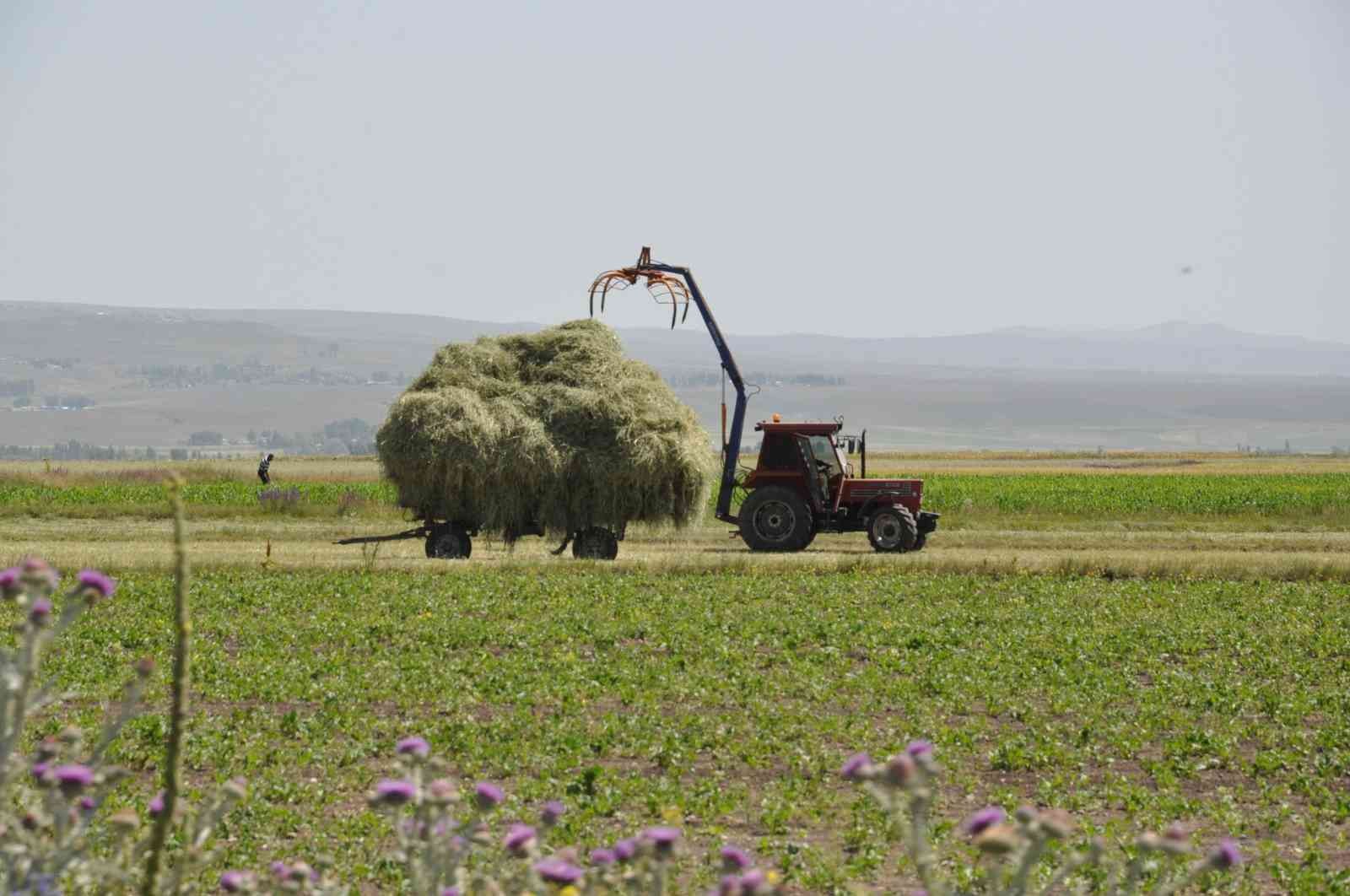 Kars’ta çiftçilerin ot biçme mesaisi başladı