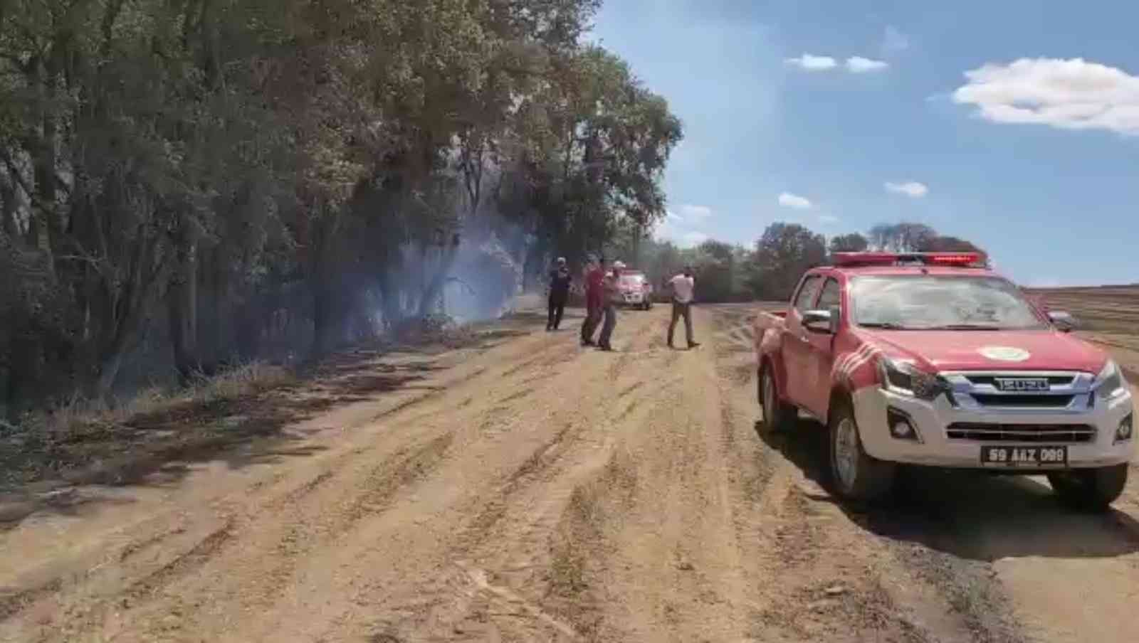 Tekirdağ’da orman yangını kontrol altına alındı