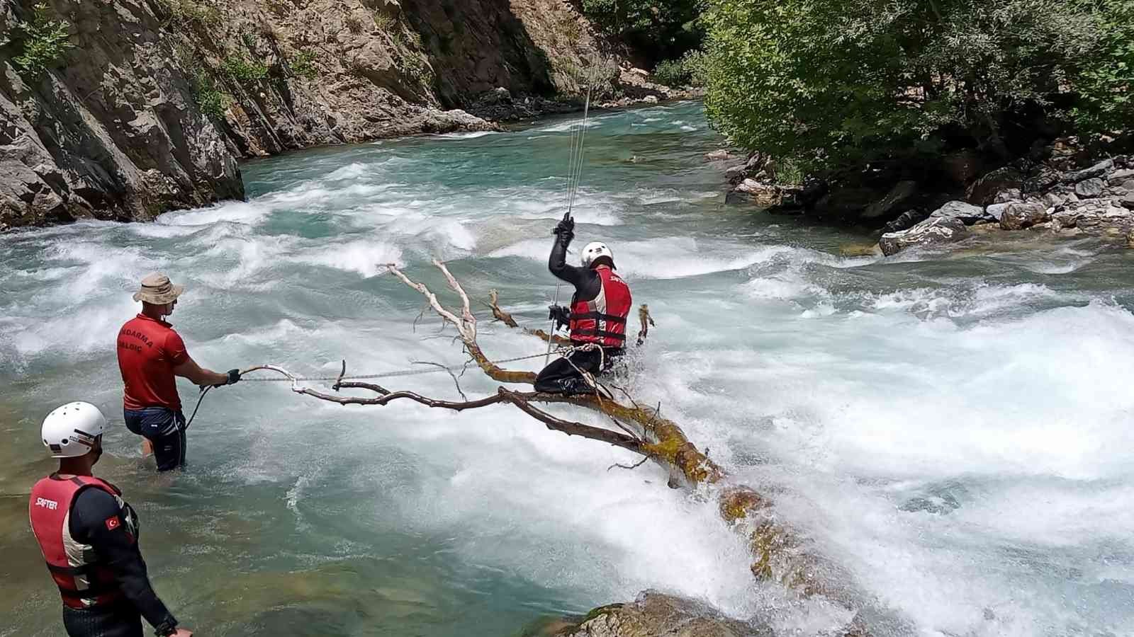 Kayıp hemşireyi arama çalışmaları 41’inci gününde