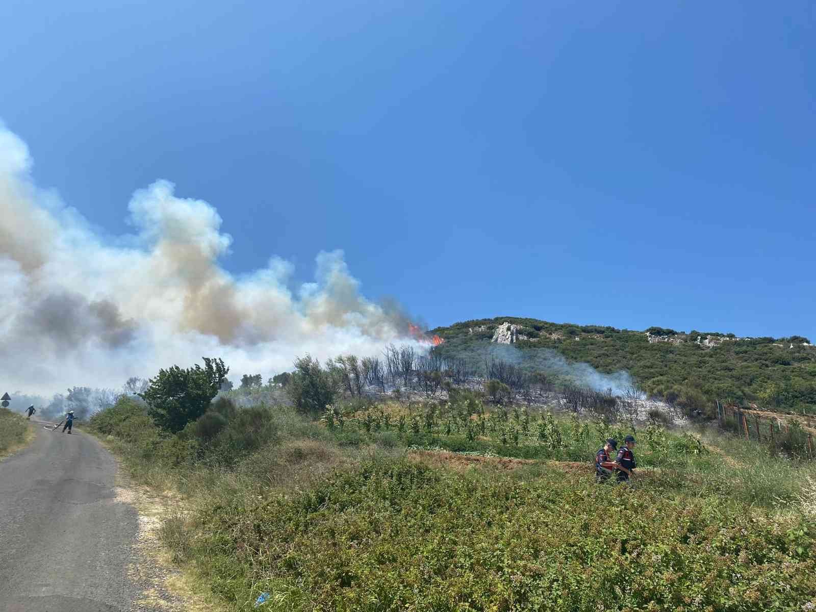 Tekirdağ’da çıkan orman yangını kontrol altına alındı