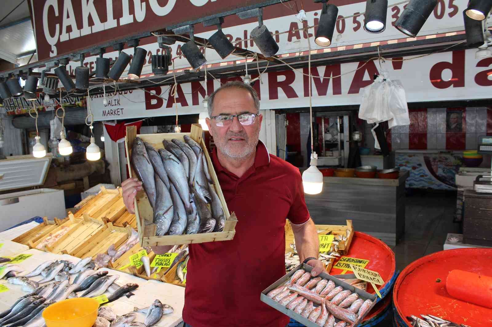 Bandırma balık halinde tezgahlar canlandı