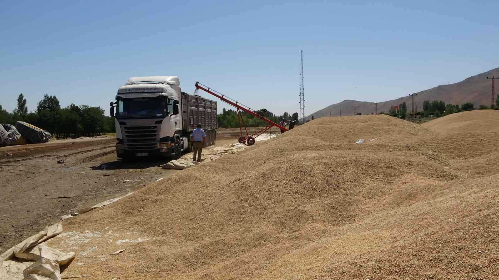 Muş’ta hasadı yapılan buğdayların satışına başlandı