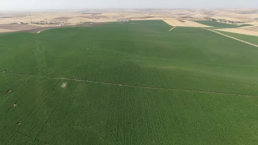 Diyarbakır’da devlet desteğiyle tarımsal üretimde artış devam ediyor