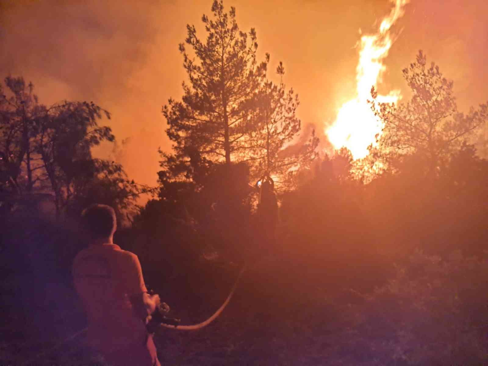 Soma’daki orman yangınında 50 hektarlık alan zarar gördü