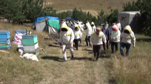 Vali Hatipoğlu, arıcı maskesini giydi bal hasadı yaptı