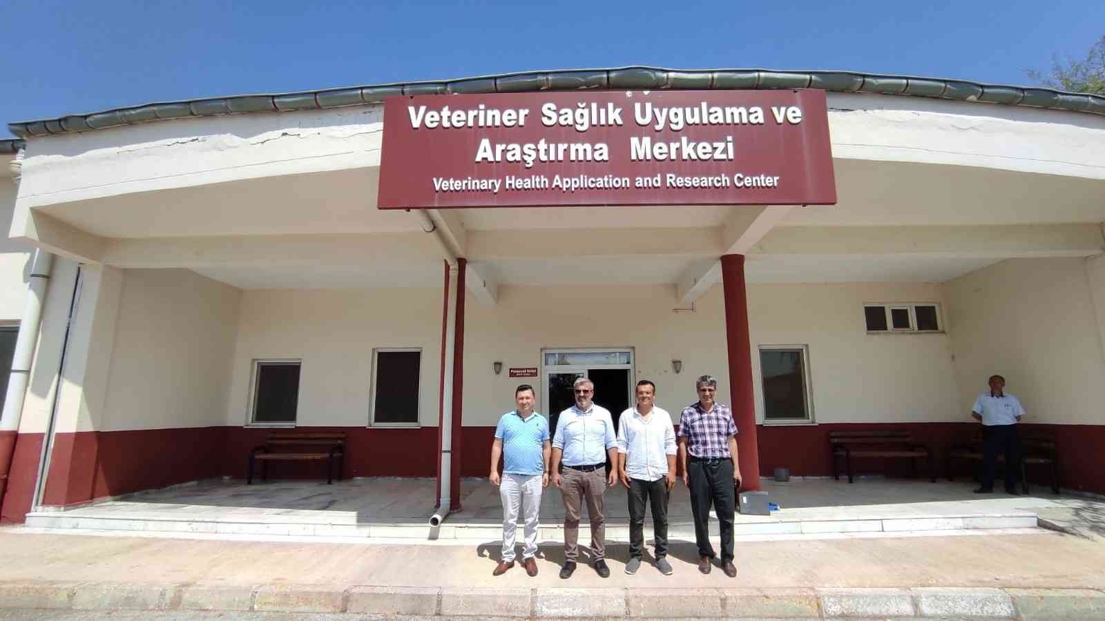 Uşak Belediyesinden sokak hayvanları için önemli iş birliği