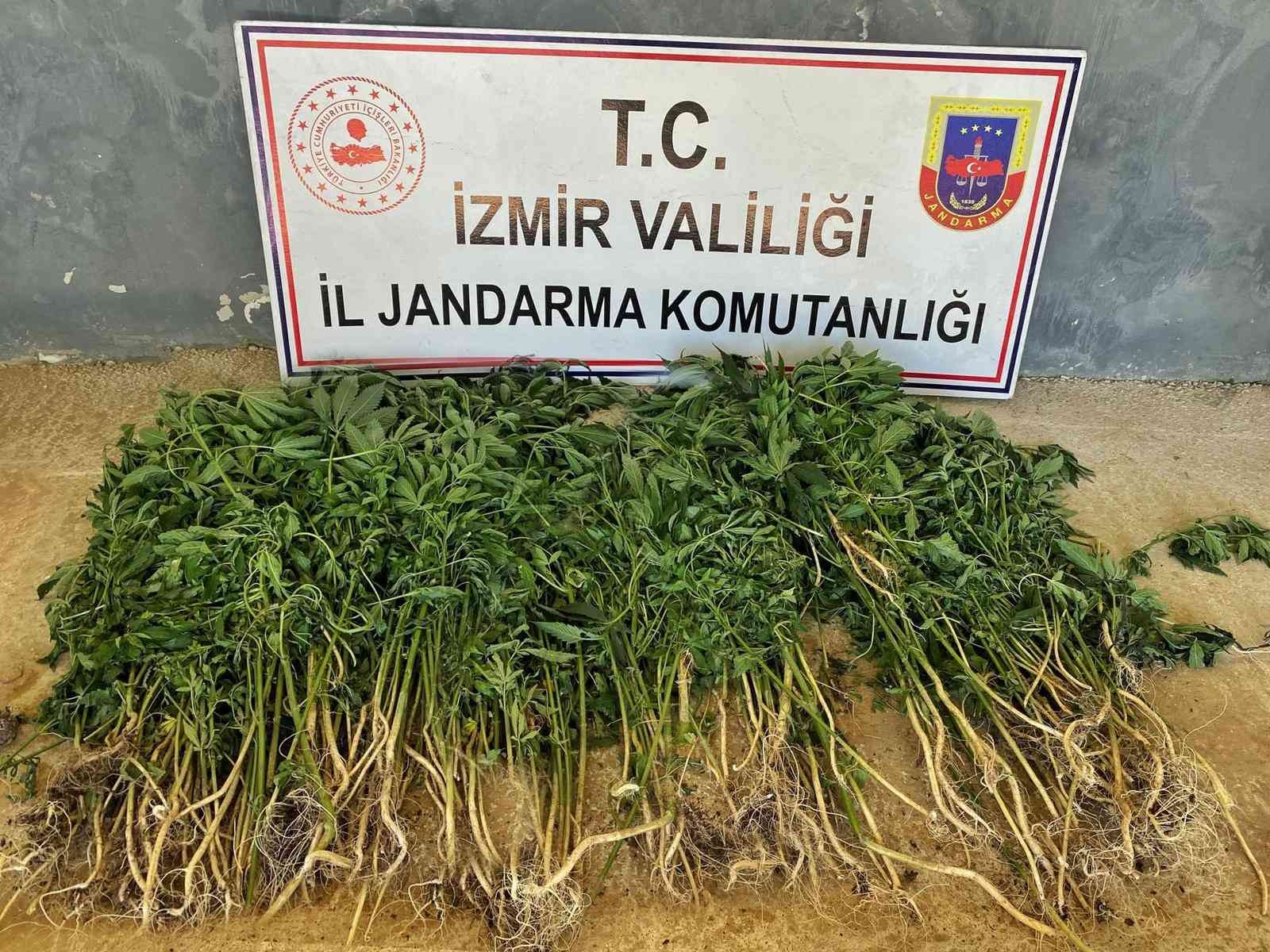 İzmir’in 9 ilçesinde uyuşturucu operasyonları: 26 gözaltı