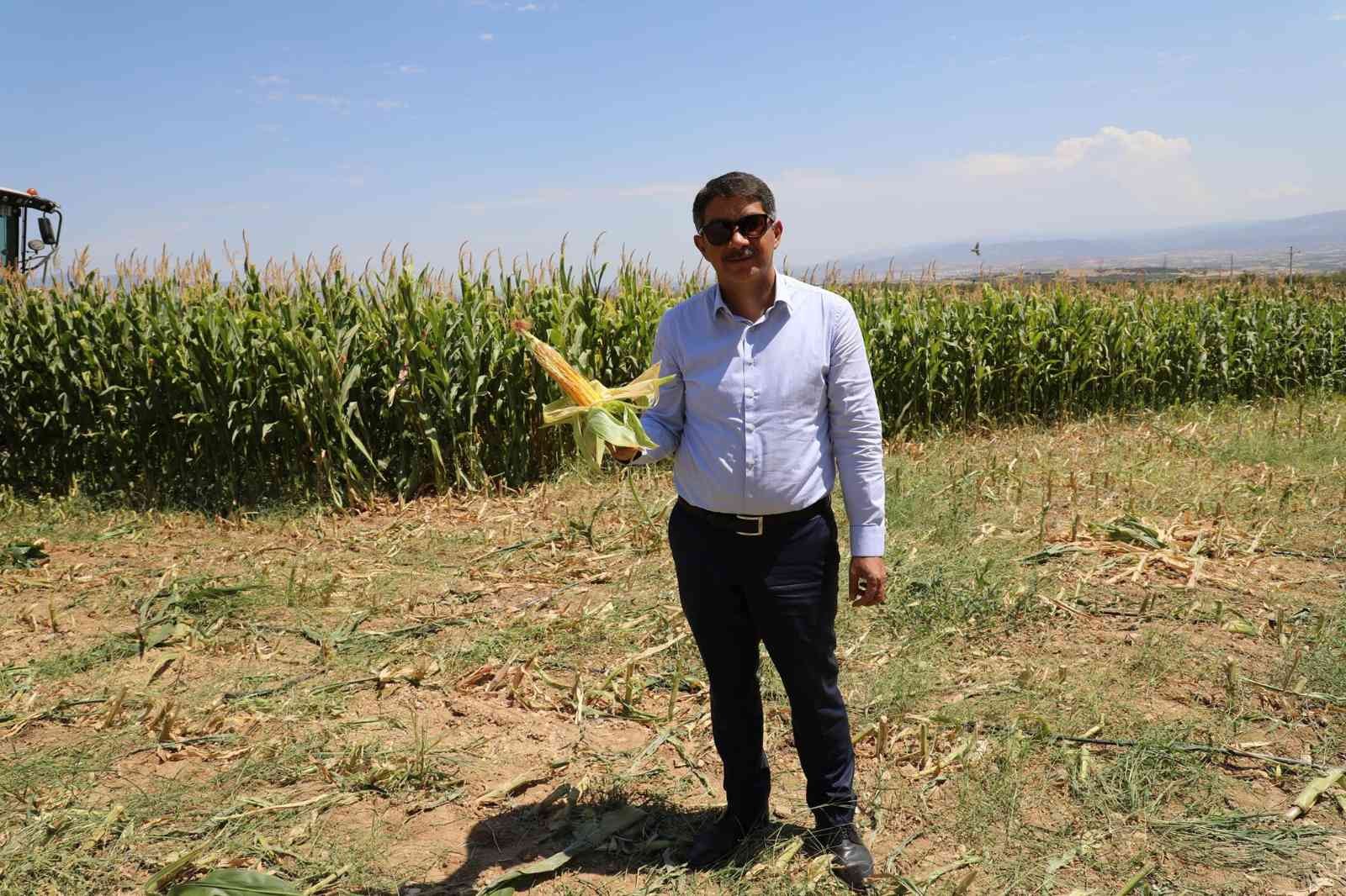 Şehzadeler’de tarıma kazandırılan atıl arazide ilk hasat yapıldı