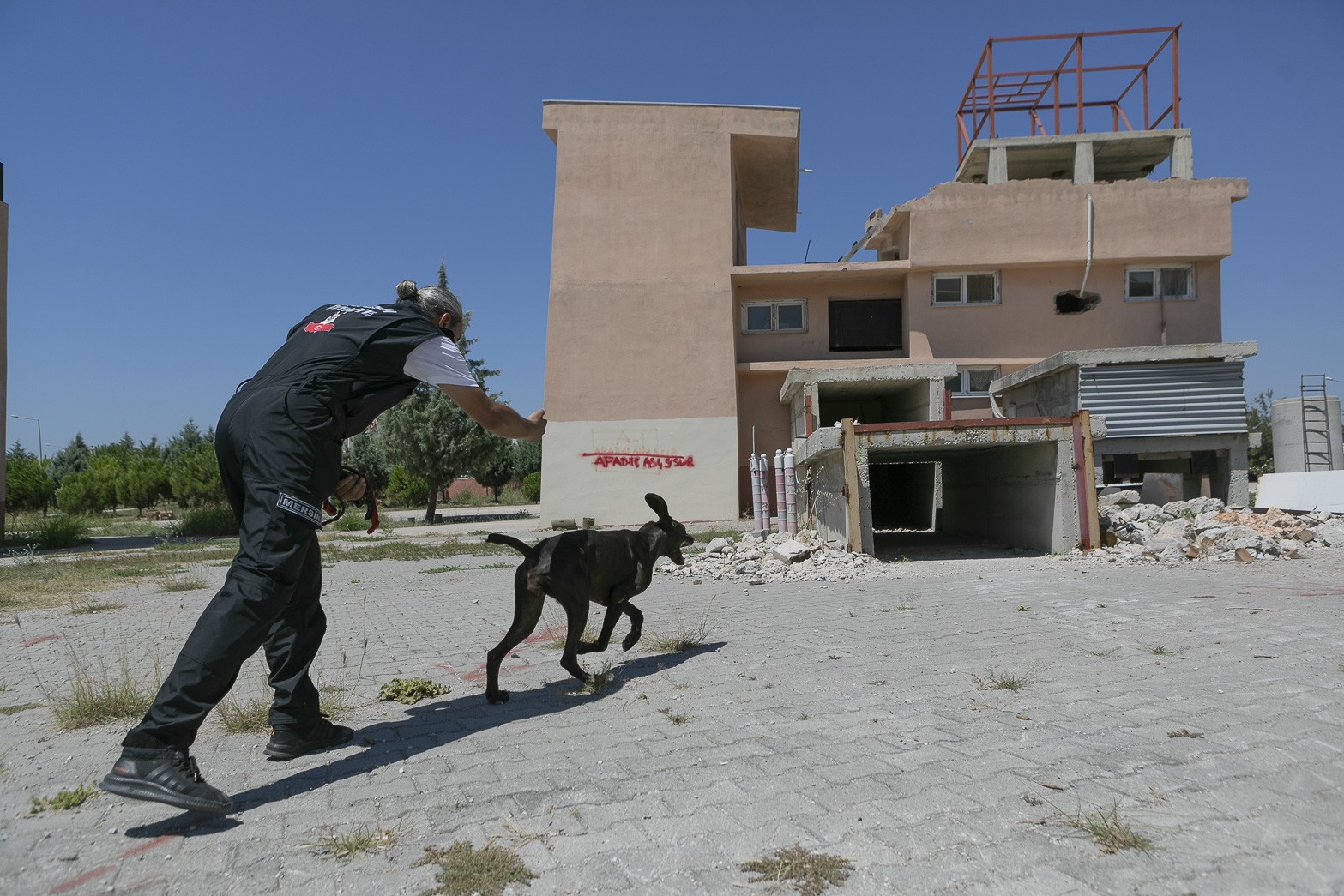 K9 eğitmenleri Mersin’de ortak çalışma yaptı