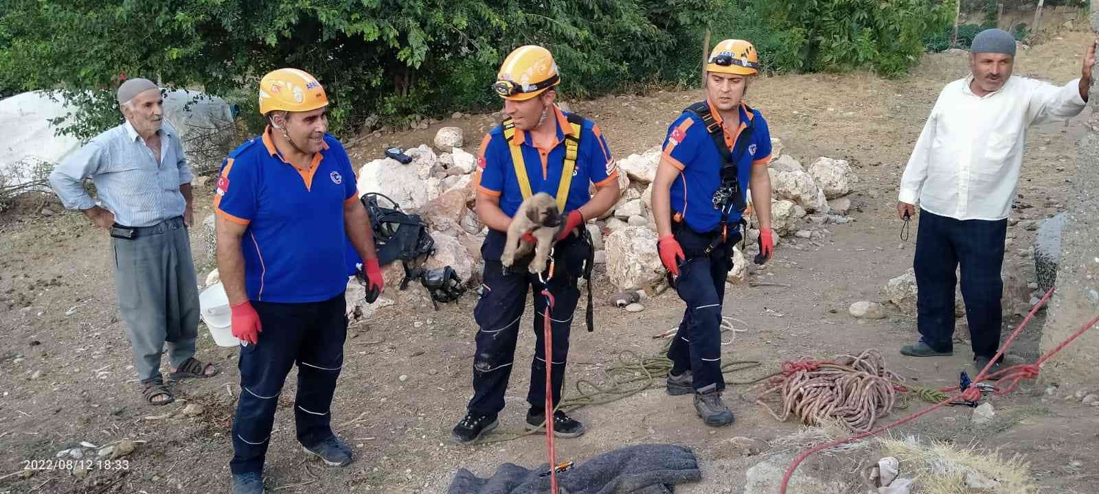 Kuyuya düşen yavru köpek kurtarıldı