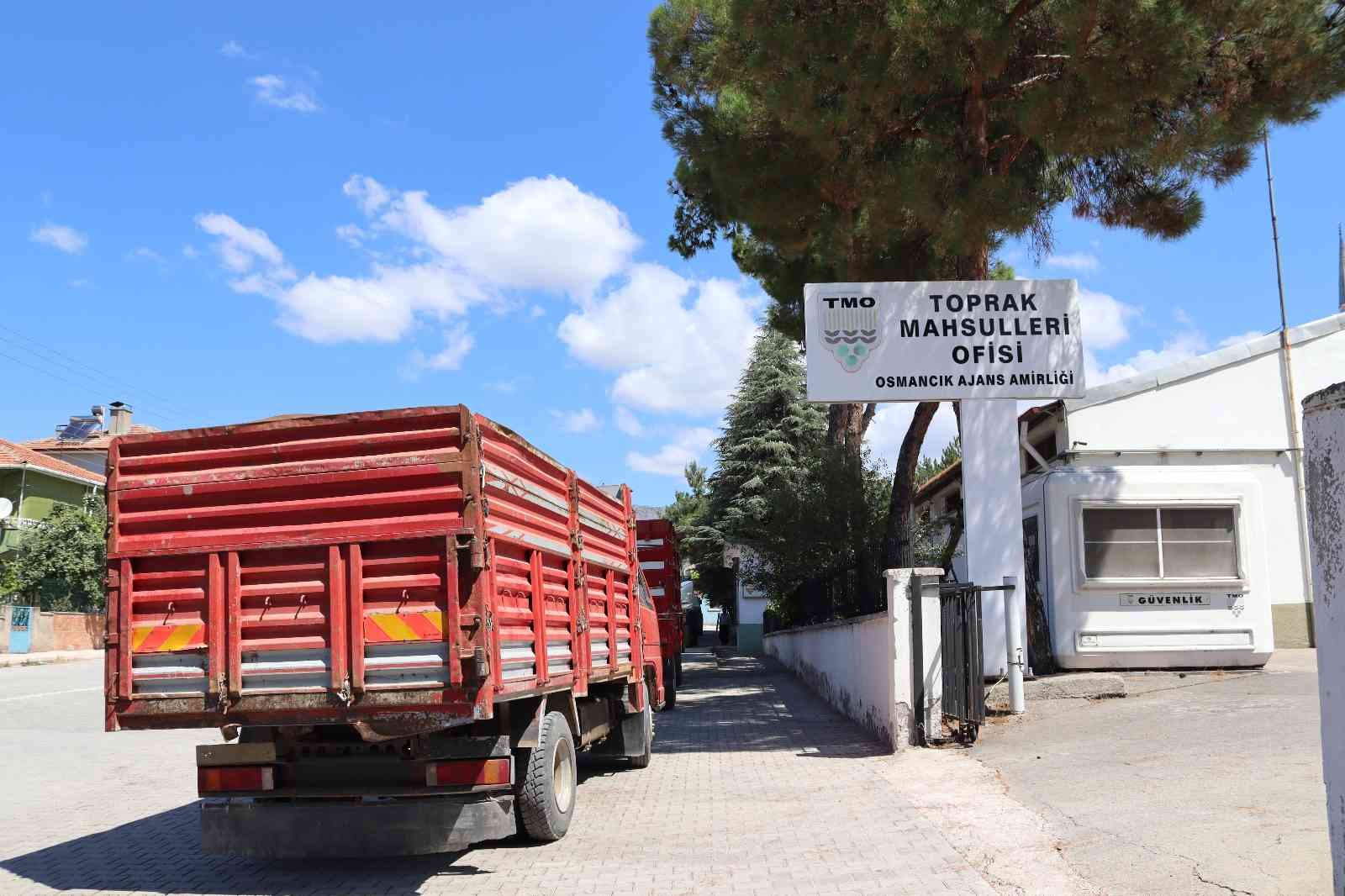 Osmancık TMO hububat alımında rekor kırıyor