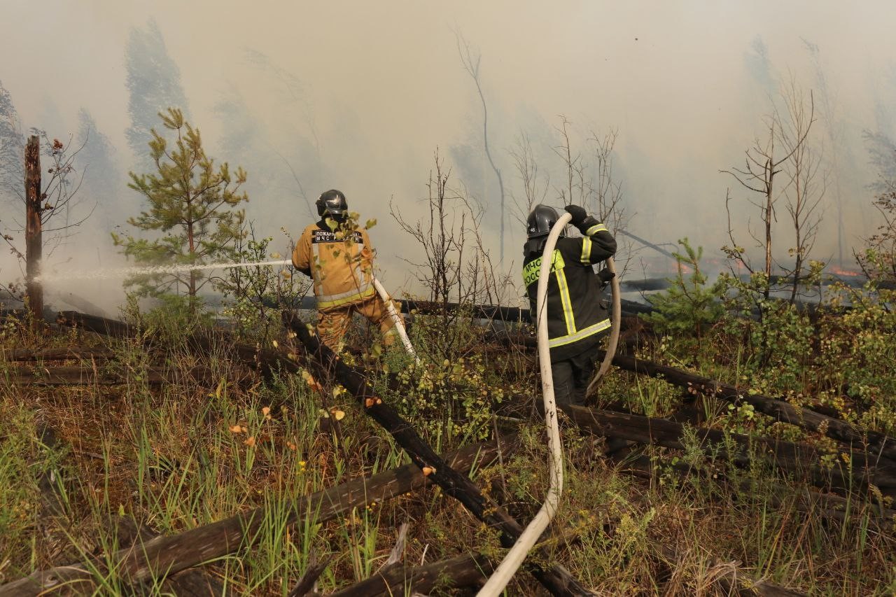 Rusya’da devam eden orman yangınında 12 bin hektarlık alan kül oldu